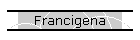 Francigena
